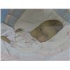 Image 5 : 2 Vintage Raised Relief Framed Pictures w/ Baby Doll in Fabric and Human Hair, 11x13"