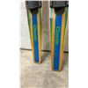 Image 2 : Pair of Wood Water Skis