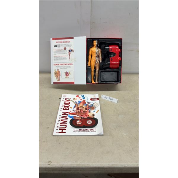 Virtual Reality Human Body