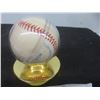 Image 3 : Signed Albert Belle Cleveland Indians Baseball
