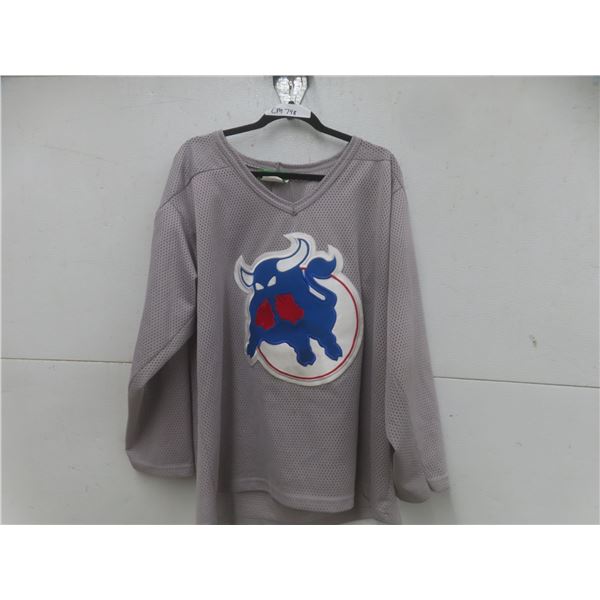 Birmingham Bulls Jersey