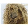 Image 2 : Vintage Full-Size Twisted Rope African Lion Mask