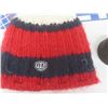 Image 7 : Vintage Winnipeg Jets Pennants, Thomas Steen Signed Game Puck, Toque, and More