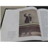 Image 7 : "Pool" Hardcover Book by Mike Shamos – Legendary Hustlers, Trick Shots, History and Rules