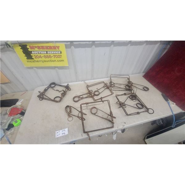 5 Vintage Metal Body Grip Traps (Beaver/Conibear Style)
