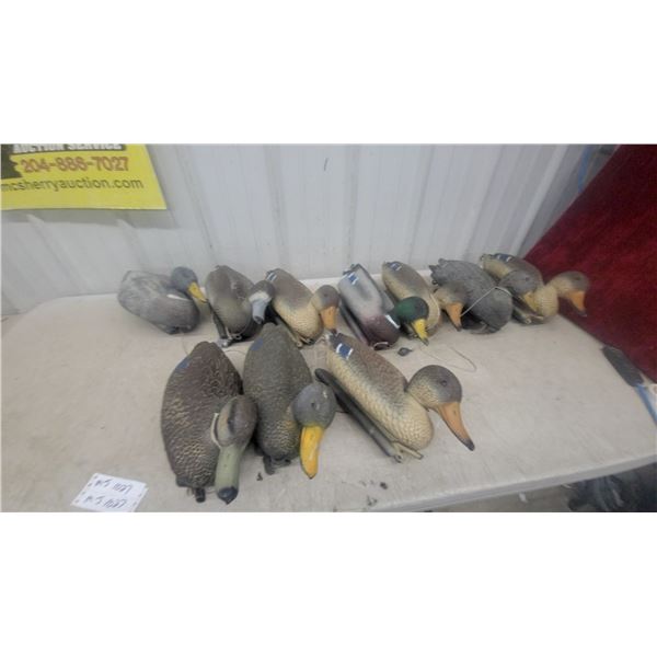 10 Duck Decoys – 9 Hens and 1 Mallard Drake