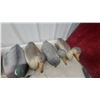 Image 2 : 10 Duck Decoys – 9 Hens and 1 Mallard Drake