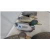Image 3 : 10 Duck Decoys – 9 Hens and 1 Mallard Drake