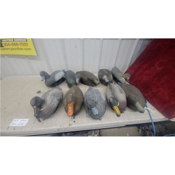 10 Floating Duck Decoys, Assorted Styles