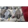 Image 2 : 10 Floating Duck Decoys, Assorted Styles