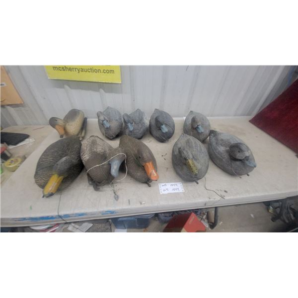 10 Floating Duck Decoys, Assorted Styles