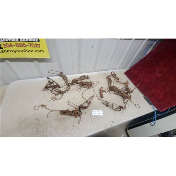 Vintage Steel Animal Traps w/ Chains and Hold-Down Springs