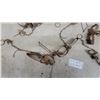 Image 2 : Vintage Steel Animal Traps w/ Chains and Hold-Down Springs