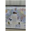 Image 4 : Display of Grace and German Display