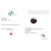 Image 3 : 6.94 ct Certified Brazillian Emerald gemstone ($4,800 Appraisal)