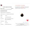 Image 3 : 3.07 ct Certified Welo Black Opal gemstone ($9,210 Appraisal)