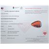Image 3 : 49.47 ct Certified Hessonite Garnet gemstone ($12,367 Appraisal)