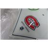 Image 2 : NHL Ceiling Light Shade 14" x 14", 1970's or 80's