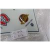 Image 5 : NHL Ceiling Light Shade 14" x 14", 1970's or 80's