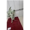 Image 3 : Cast Metal Dragon Wall Sconce Light Fixture with Mounting Plate and Wiring Components 26 x 18"