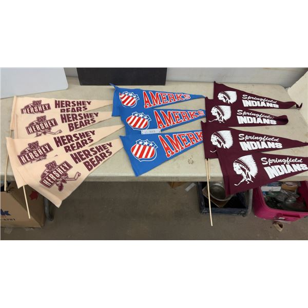 Vintage AHL Hockey Pennants: Hershey Bears, Rochester Amerks, Springfield Indians (Lot of 11)