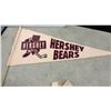 Image 3 : Vintage AHL Hockey Pennants: Hershey Bears, Rochester Amerks, Springfield Indians (Lot of 11)