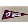 Image 7 : Vintage AHL Hockey Pennants: Hershey Bears, Rochester Amerks, Springfield Indians (Lot of 11)