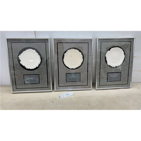 Matrix Award of Excellence Framed Plaques for OBSCO Beauty Manitoba (Set of 3) 1989-1991