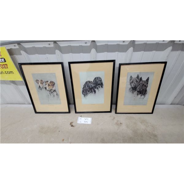 Set of 3 Framed Dog Prints - Wire Haired Fox Terriers, Cocker Spaniels & Aberdeen Terriers