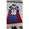 Image 1 : Winnipeg Blue Bombers CFL #18 Reebok Football Jersey Size 44 2008 Game Worn