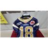 Image 2 : Winnipeg Blue Bombers CFL #18 Reebok Football Jersey Size 44 2008 Game Worn