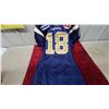 Image 3 : Winnipeg Blue Bombers CFL #18 Reebok Football Jersey Size 44 2008 Game Worn