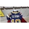 Image 7 : Winnipeg Blue Bombers CFL #18 Reebok Football Jersey Size 44 2008 Game Worn