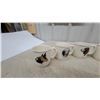 Image 4 : Set of 6 English Ceramic Dog Breed Mugs with 2 Scottish Terrier Figurine Bookends Collector Plate
