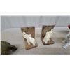 Image 2 : Elephant Figurines, Bookends Bamboo Wind Chime, and Painted Wooden Parrot Decoration