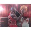 Image 2 : Michael Jordan Chicago Bulls Card
