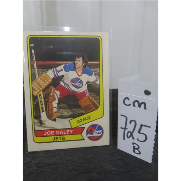 Winnipeg Jets Joe Daley WHA Card