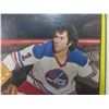 Image 2 : Winnipeg Jets Joe Daley WHA Card