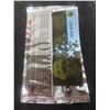 Image 4 : 20 Packs Upper Deck Ice McDonalds Packs