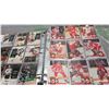 Image 3 : NHL 1993-94 Donruss Card Set Series 1 and 2, 1 to 510 Cards in Upper Deck Binder