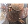 Image 3 : 7 lbs Canada Pennies