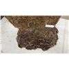 Image 2 : Heart-Shaped Moss and Bark Topiary Form, Taxidermy Mount, Approx 17 x 24 x 14