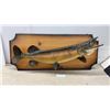 Image 1 : Northern Pike Mounted on Wood Plaque by North American Taxidermists Ltd Winnipeg Canada, 38" Long