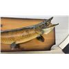 Image 3 : Northern Pike Mounted on Wood Plaque by North American Taxidermists Ltd Winnipeg Canada, 38" Long