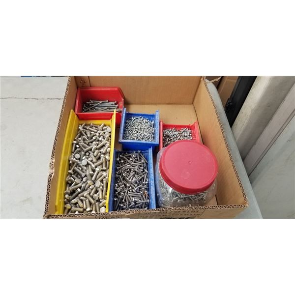 TRAY OF STAINLESS SCREWS AND BOLTS