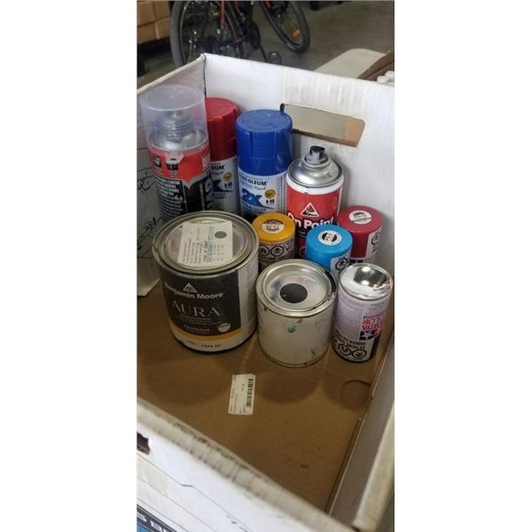 BOX OF SPRAY PAINT AND PAINT