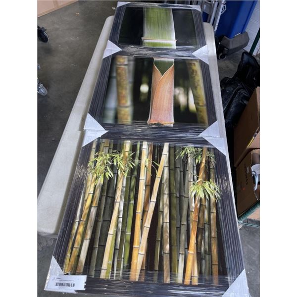 SET OF 3 FRAMED BAMBOO PRINTS