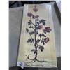 Image 9 : 8 FRAMED AT WORKS