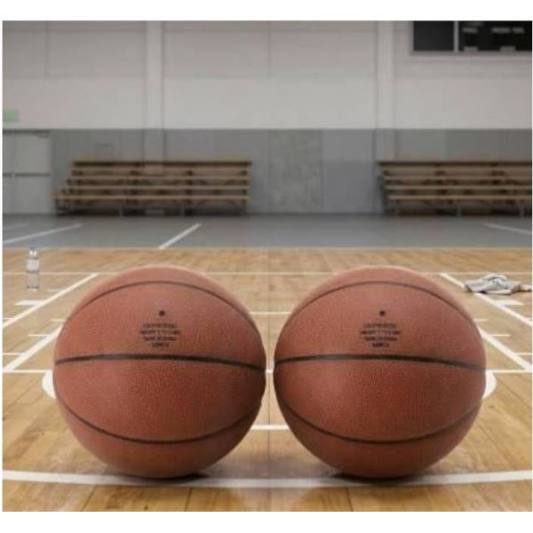 Amazon Basics Basketballs, Set of 2, Official Size 7