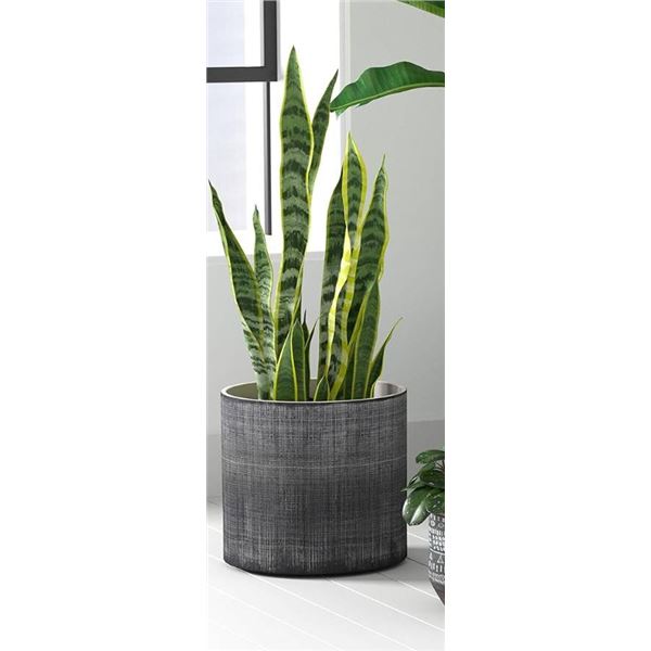 Rivet Rustic Textured Stoneware Planter, Dark Grey, 10in x 8.6in x 10in